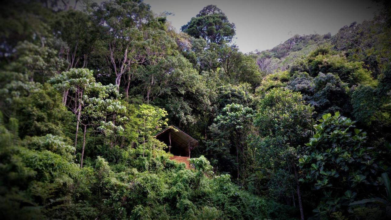 Chalet In The Jungle Pallegama Exteriör bild