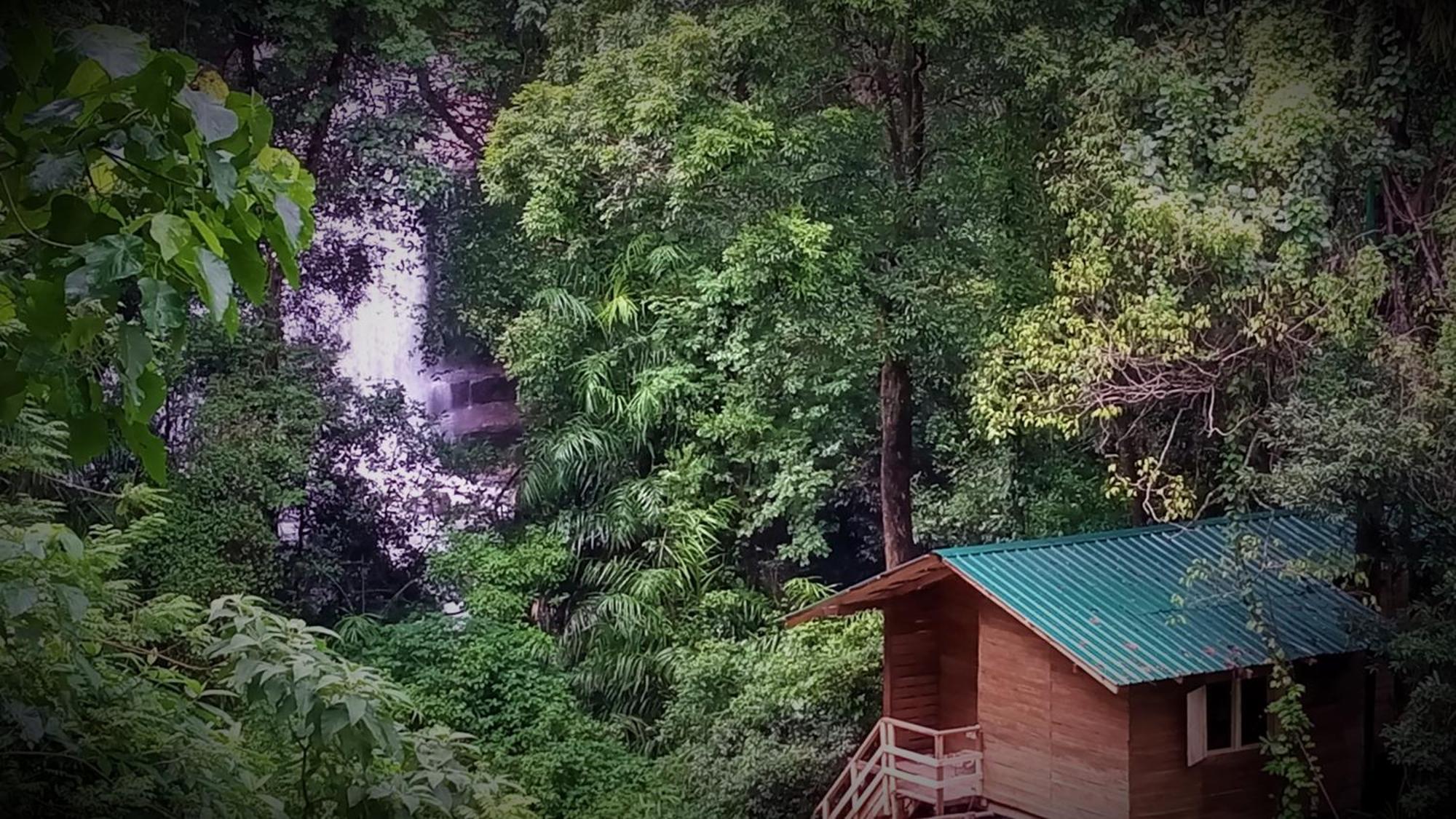 Chalet In The Jungle Pallegama Exteriör bild
