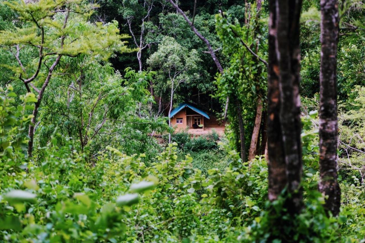 Chalet In The Jungle Pallegama Exteriör bild
