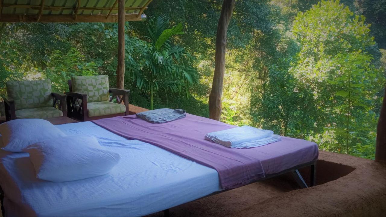 Chalet In The Jungle Pallegama Exteriör bild